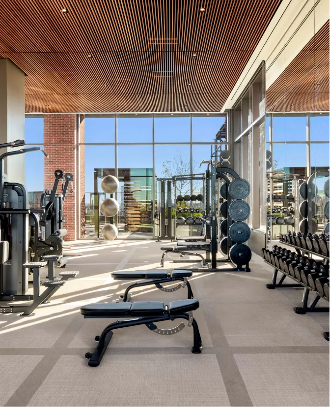 A row of weight benches in an apartment gym with mirrors to the right, additional equipment to the left, and a wall of windows straight ahead.
