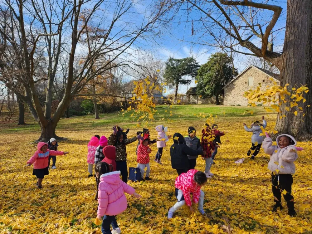 231130-Patterson-playing-in-ginkgo-leaves-Leslie-1-1536x1152-1.webp 231130-Patterson-playing-in-ginkgo-leaves-Leslie-1-1536x1152-1.webp