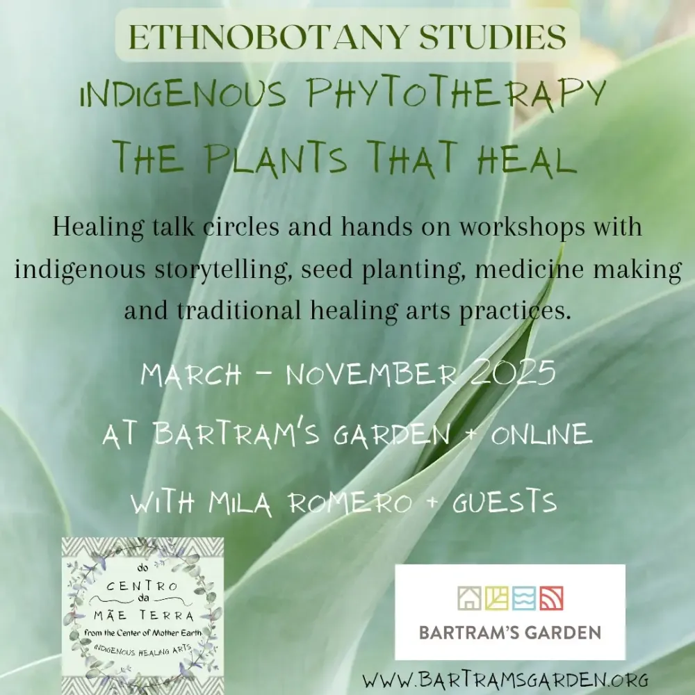 4259898650501887887.webp 4259898650501887887.webp