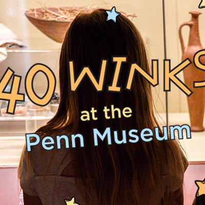 40 winks header